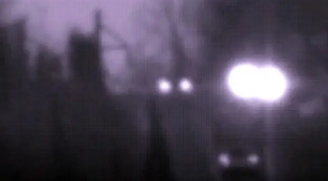 పాల్డింగ్ లైట్