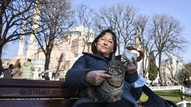 Bir kadın bir kediyi İstanbul'da kucağında tutuyor