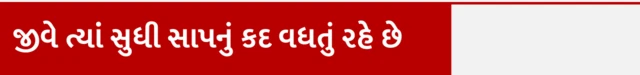 જીવે ત્યાં સુધી સાપનું કદ વધતું રહે છે 