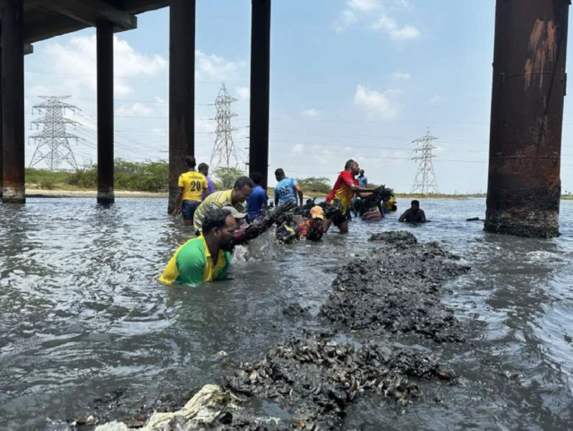 தமிழ்நாடு: மீனவர்களை ஆபத்தில் தள்ளும் கடல் உயிரினம் – அமெரிக்க கப்பலில் சென்னை வந்ததா?
