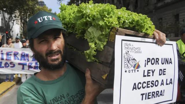 Productor de lechugas en Argentina