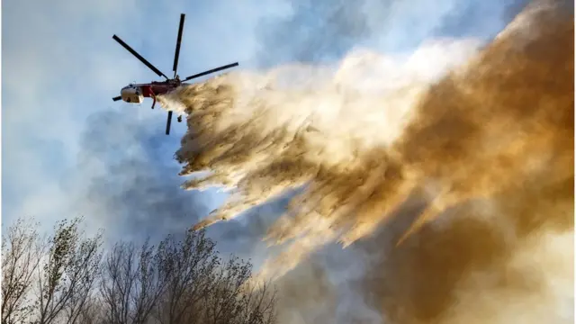 کیلی فورنیا فائر