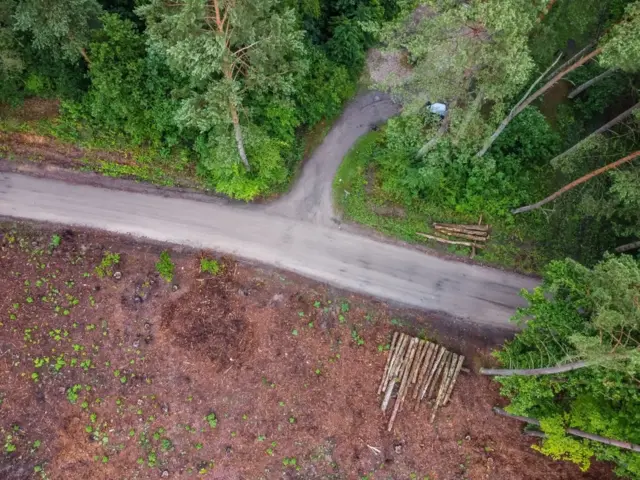 Suara-suara yang menenangkan