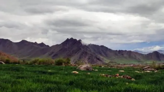 ولسوالی امام صاحب ولایت قندز به عنوان ذخیرگاه نباتات انتخاب شده‌