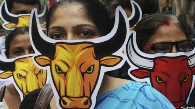 प्रातिनिधिक फोटो