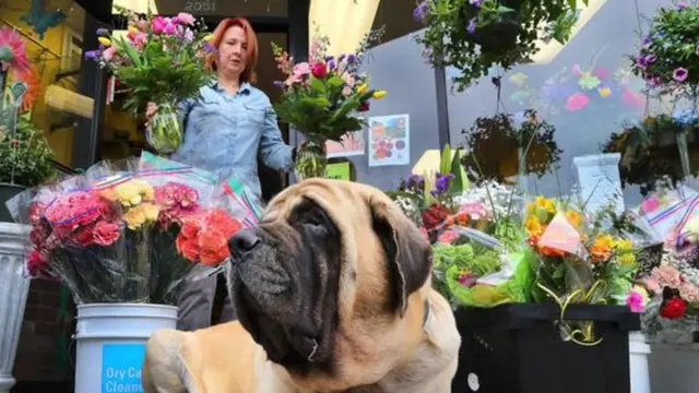 Mulher saindo da floricultura com buquêsroleta da googleflores