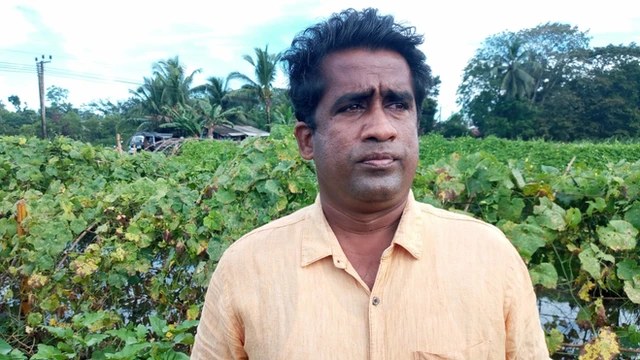 Agriculture Sri Lanka