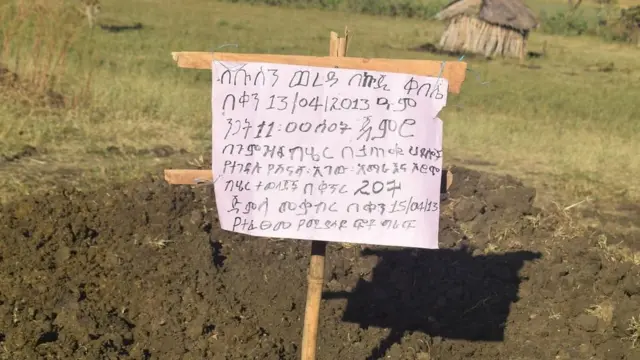 Awwalcha jumlaa namoota 207 haleellaa Kibxataan ajjeefamanii