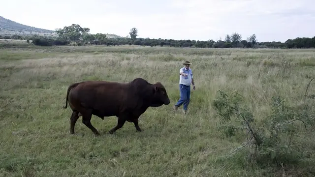 onye ọcha Sawụt Afịrịka