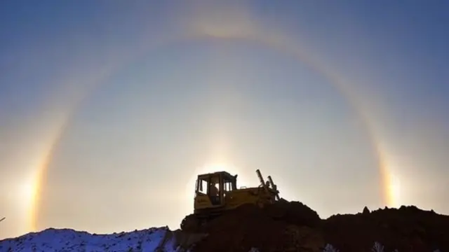 Lukaşenko hesab edir ki, virusu zərərsizləşdirmək üçün kənd təsərrüfatında fəaliyyət göstərmək lazımdır.