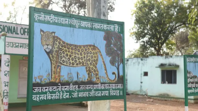 कूनो राष्ट्रीय उद्यान