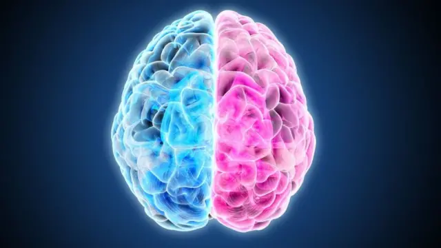 Ni la creatividad está a la derecha ni la lógica a la izquierda: el  neuromito de los hemisferios cerebrales - BBC News Mundo