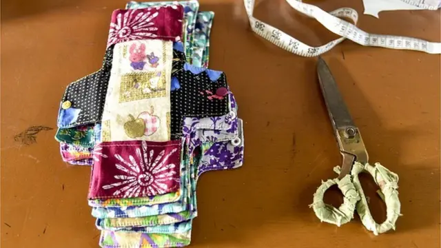 माहवारी अवकाश की मांग