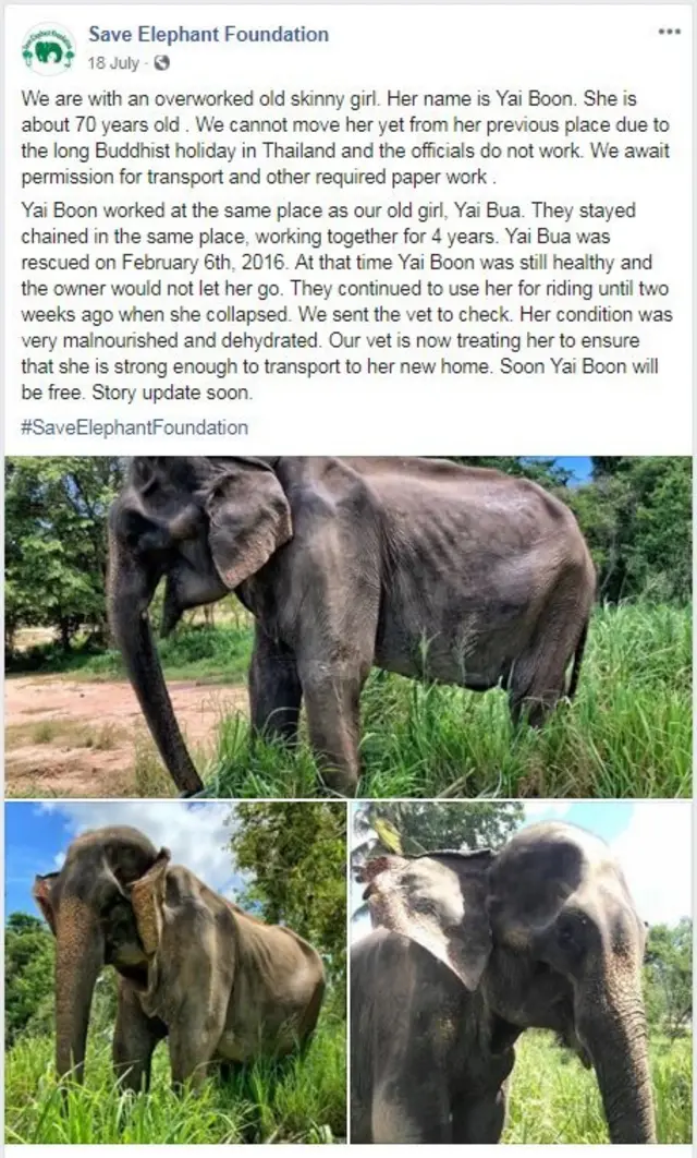 යායි බුන්