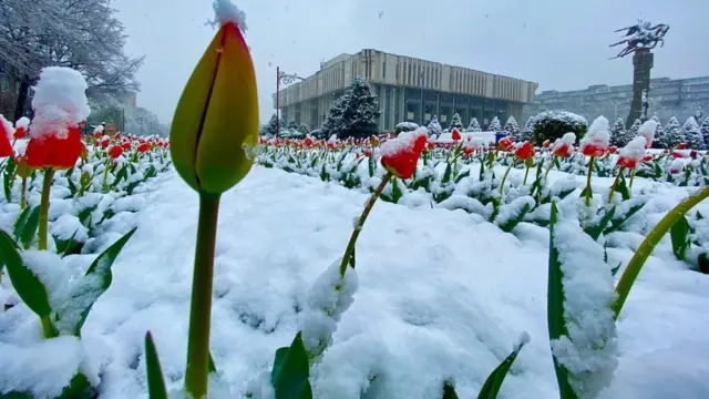 Бишкек шаарына кар түштү