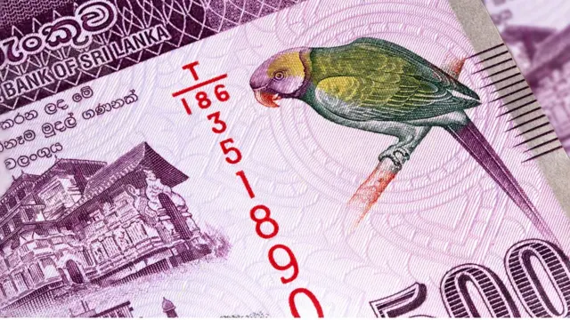 இலங்கைப் பணம்.