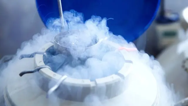 Генна інженерія