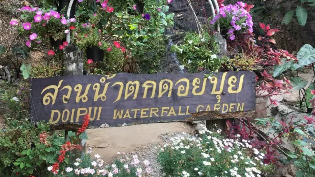 Vườn hoa