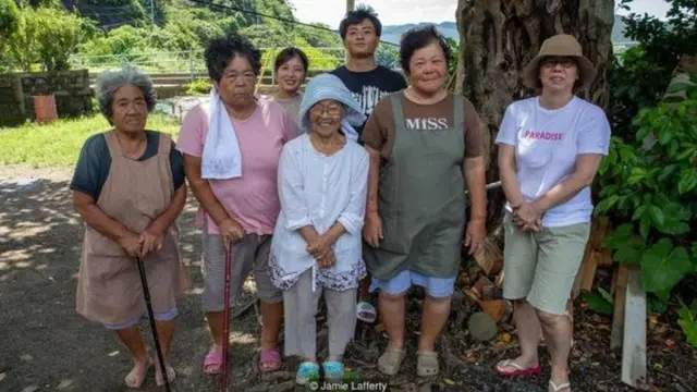 एक पौधे ने कैसे एक जापानी द्वीप को बचाया?