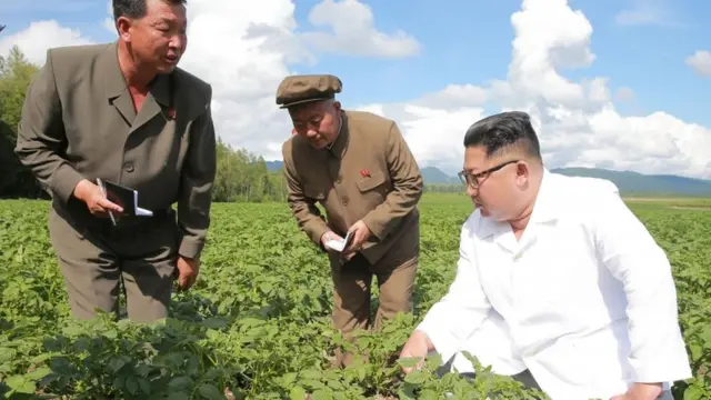 Bukan hanya di Korea Selatan, Pemimpin Besar Kim Jong-un juga mendorong para pekerja dengan slogan 'kecepatan mallima' atau kecepatan sangat tinggi.