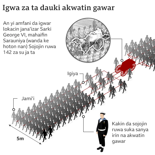 Igwa