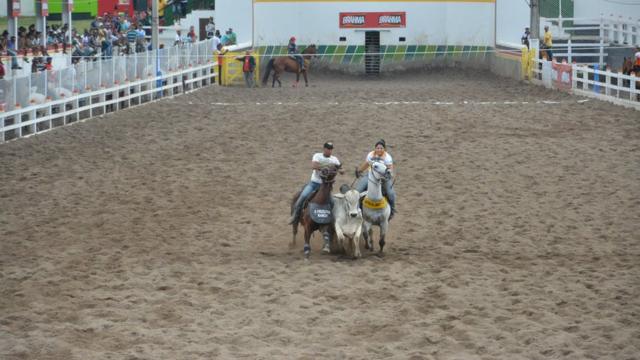 Vaquejadapokerstars online dinheiro realSerrinha