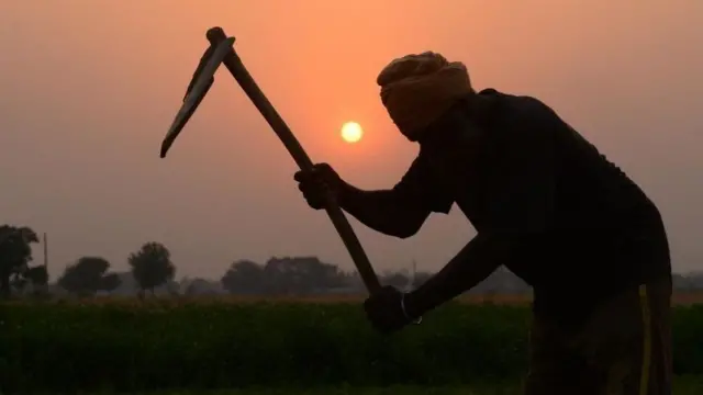 ખેડૂતોને પાકનુકસાની