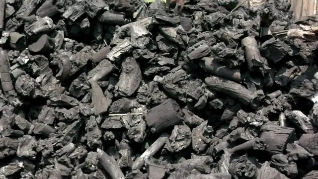 சீமைக் கருவேல மரங்கள் வரமா? சாபமா? உயிராபத்தையும் மீறி நடக்கும் கரிமூட்டம் தொழில்