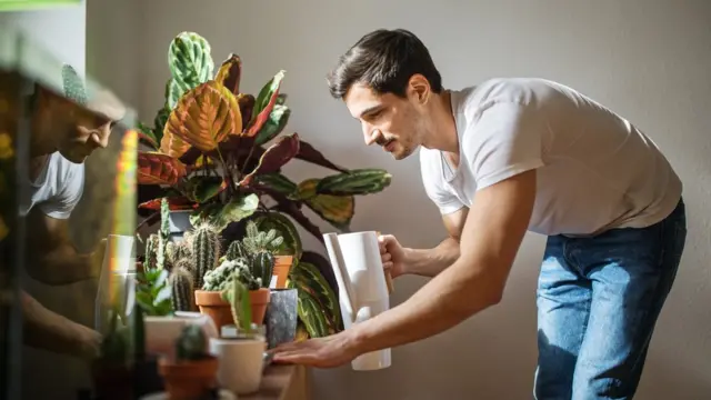 Hombre regando las plantas