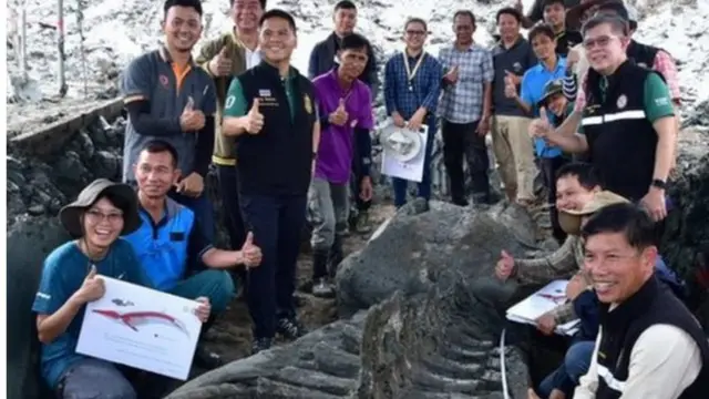 திமிங்கலம்