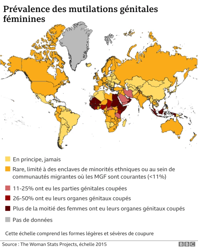 Graphique des MGF dans le monde