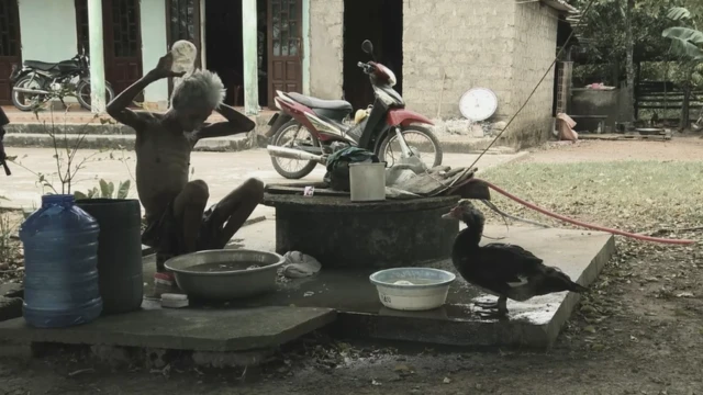 Việt Nam, phim