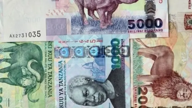 Serikali ya rais Magufuli imewekeza mabilioni ya madola katika sekta ya viwanda ambayo inashirikisha ujenzi wa reli mpya, kuimarisha shirika la ndege la taifa pamoja na kiwanda cha umeme.