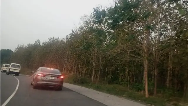 Oju ọ̀na Iwaraja ati igbo tiiki to wa lẹba ọna