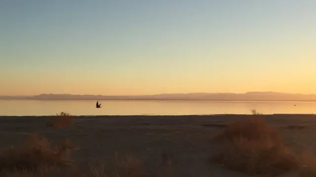 Salton Sea, California