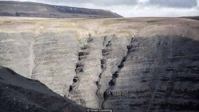 प्रजनन, नर-मादा संबंध