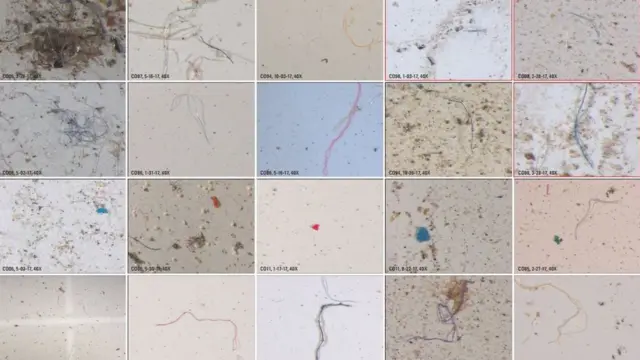 Микрочастицы пластика