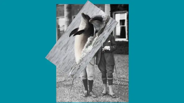 Composición de imágenes de delfines sobre humanos