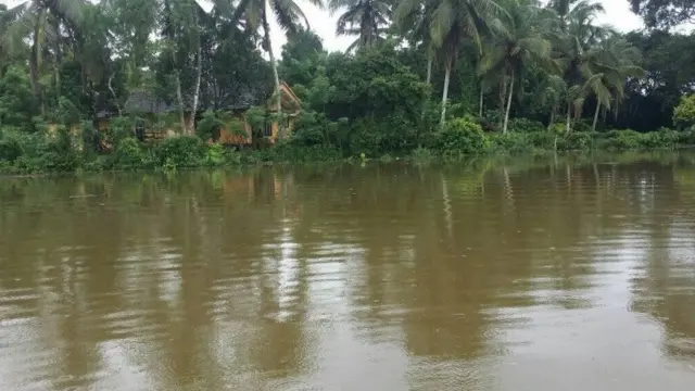 අධික වැසි සහිත කාලගුණය