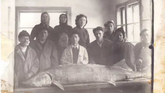 Моруна у Кладову и Вјера Дејнега