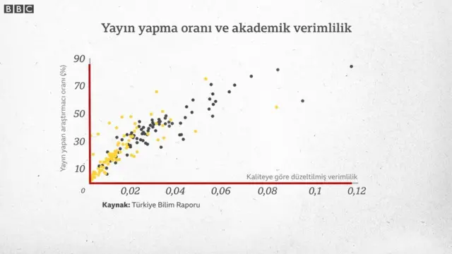 Yayın yapma ve akademik yeterlilik