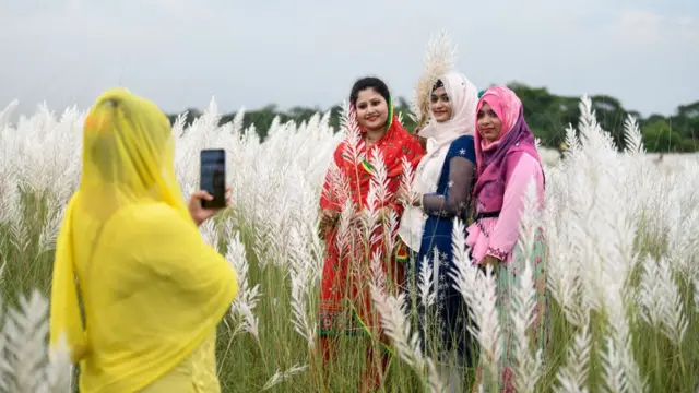 কাশফুলের বনে