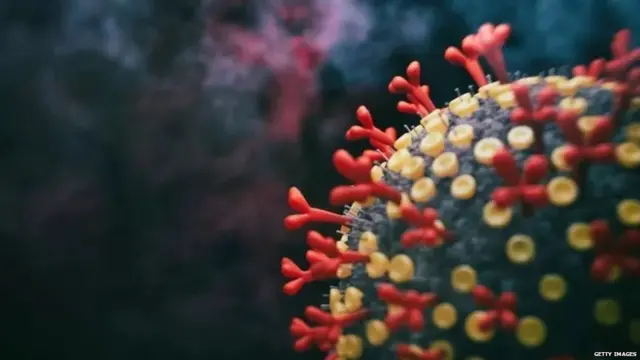 ਕੋਰੋਨਾਵਾਇਰਸ