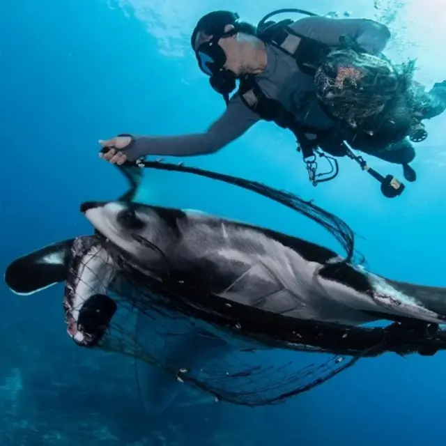 विश्व समुद्र दिवस