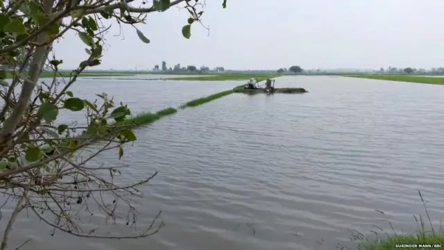 ਬਰਸਾਤ ਦਾ ਕਹਿਰ