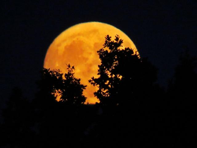 القمر يضيئ السماء في ستوكينغفورد، في وريكشر في انجلترا