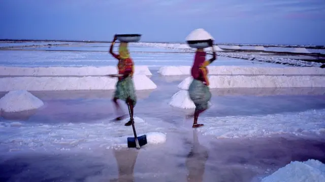 कच्छ का मैदान