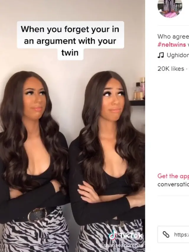 Эгизаклар Шанае ва Ренае