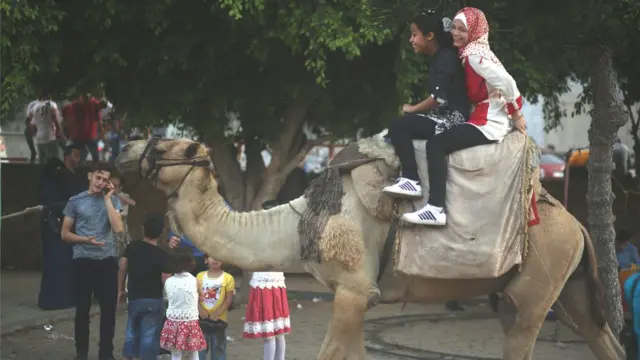 عید الاضحی کی رونقیں