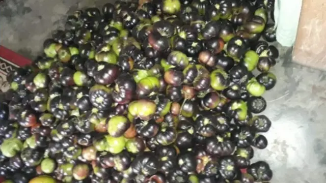 কালো টমেটো